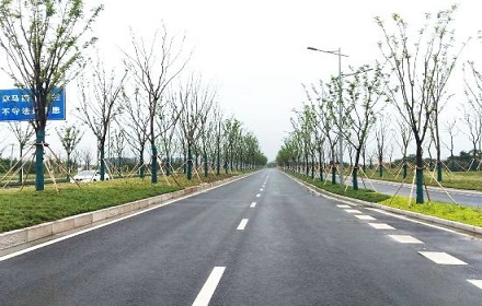 你了解道路绿化设计的规定和要求吗？