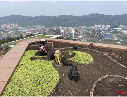 博鱼官方网站：晋江市绿化造园建设集团有限公司