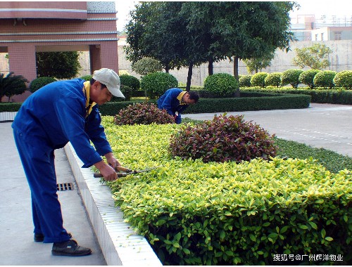 博鱼boyu官方网站：太仓园林绿化赔偿标准