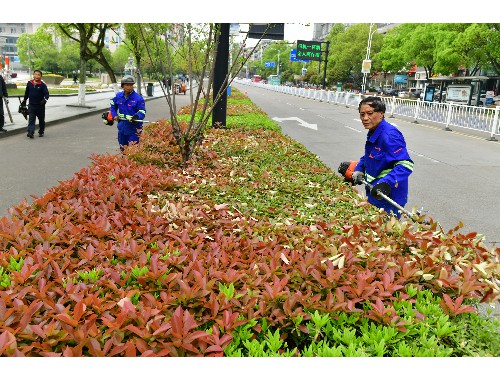 boyu博鱼中国官方网站：天津城市绿化安全生产