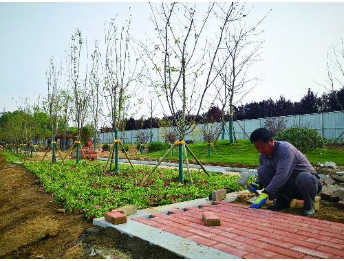 博鱼官方网站：定州绿化花卉苗木批发市场